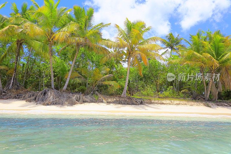 热带天堂:沙漠荒芜的绿松石海滩，Saona岛，Punta Cana -多米尼加共和国